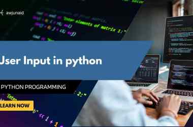 User Input in python