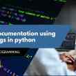 Write documentation using docstrings in python