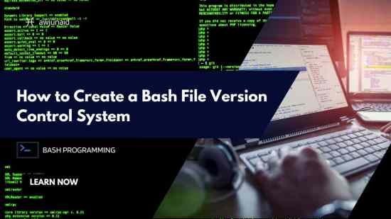 How to Create a Bash File Version Control System