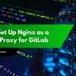 How to Set Up Nginx as a Reverse Proxy for GitLab
