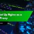 How to Set Up Nginx as a Reverse Proxy