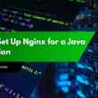 How to Set Up Nginx for a Java Application