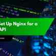 How to Set Up Nginx for a Node.js API
