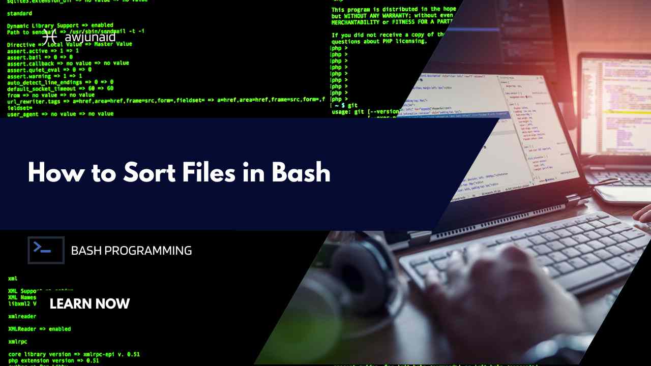 How to Sort Files in Bash