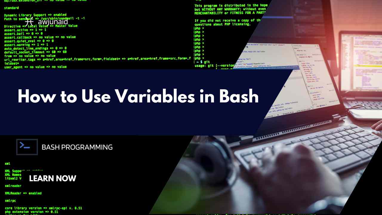 How to Use Variables in Bash
