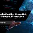 How does the Rectified Linear Unit (ReLU) activation function work