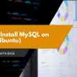 How to Install MySQL on Linux (Ubuntu)