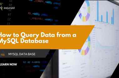 How to Query Data from a MySQL Database