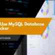 How to Use MySQL Database with Docker