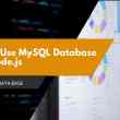 How to Use MySQL Database with Node.js