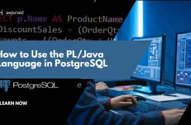 How to Use the PL/Java Language in PostgreSQL