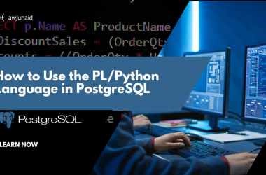 How to Use the PL/Python Language in PostgreSQL