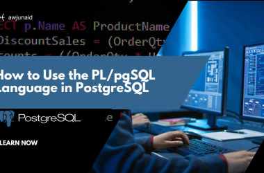 How to Use the PL/pgSQL Language in PostgreSQL