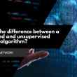 What is the difference between a supervised and unsupervised learning algorithm?