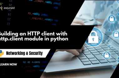 Building an HTTP client with http.client module in python