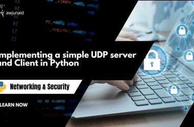 Implementing a simple UDP server and Client in Python