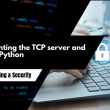 Implementing the TCP server and Client in Python
