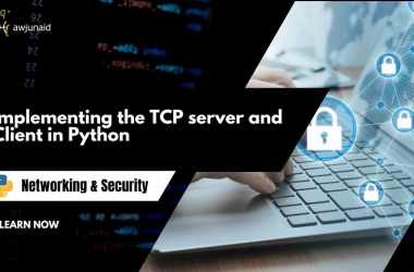 Implementing the TCP server and Client in Python