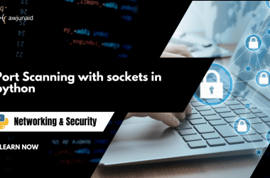 Port Scanning with sockets in python