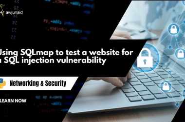 Using SQLmap to test a website for a SQL injection vulnerability