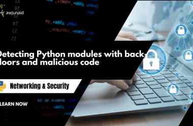 Detecting Python modules with back-doors and malicious code