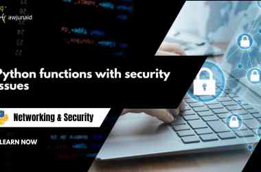 Python functions with security issues