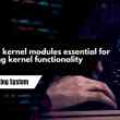 Why are kernel modules essential for extending kernel functionality
