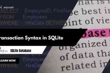 Transaction Syntax in SQLite