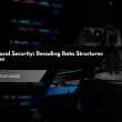 Network Protocol Security: Decoding Data Structures and Procedures