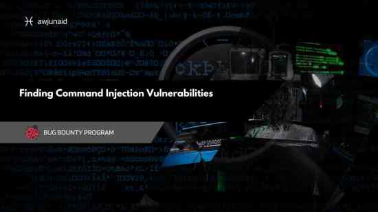 Finding Command Injection Vulnerabilities