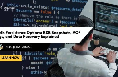 Redis Persistence Options: RDB Snapshots, AOF Logs, and Data Recovery Explained