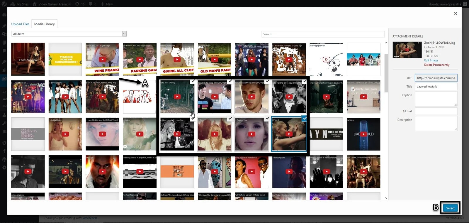How To Create Video Gallery WordPress - Video Gallery Plugin on Website