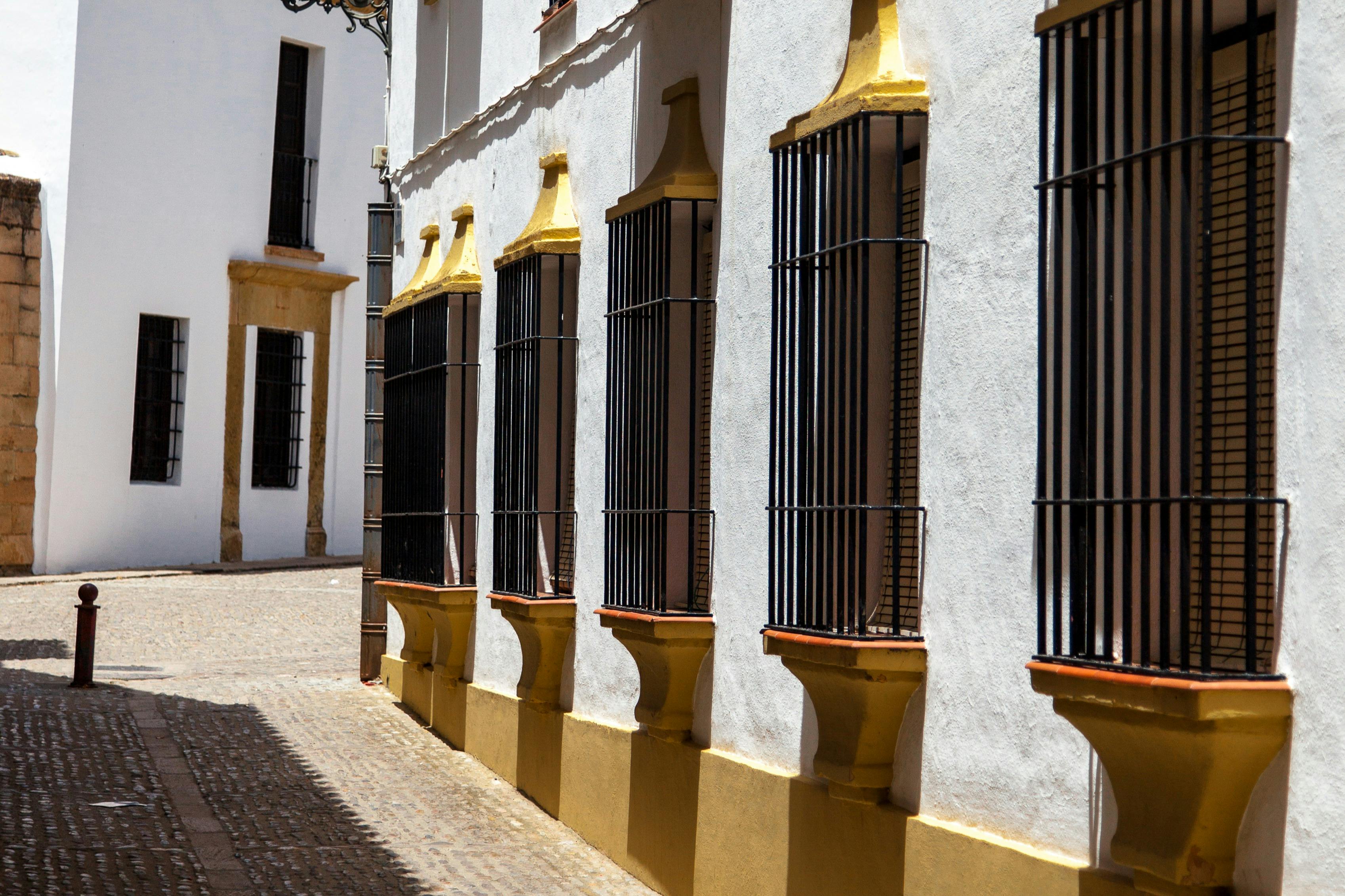 White Villages and Ronda: Day Trip from Seville