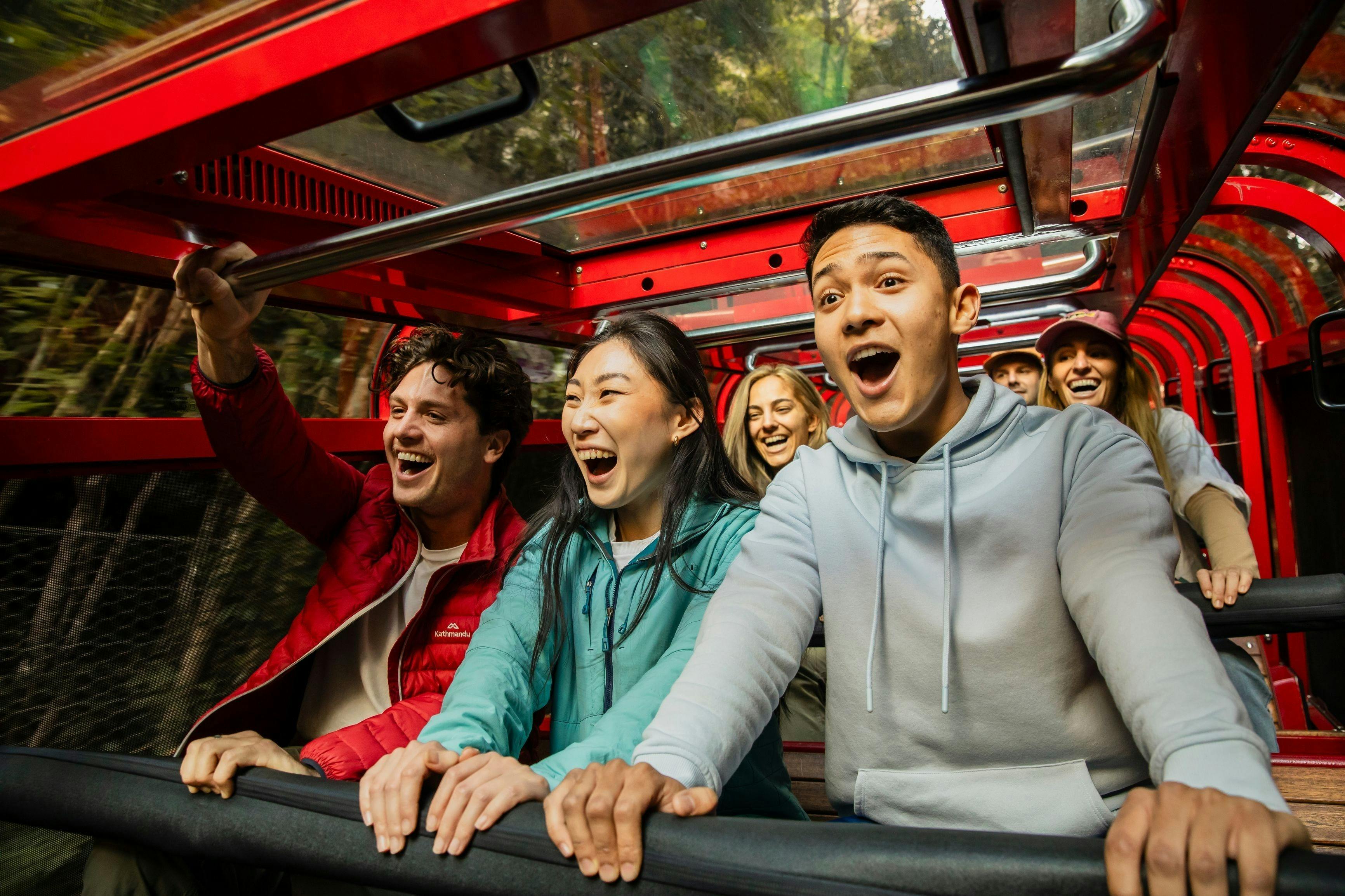 Young people on the Scenic Railway in the Blue Mountains