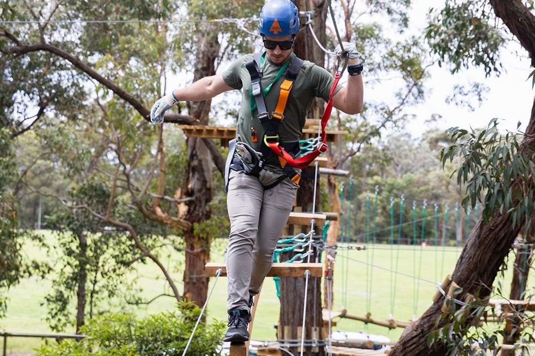 Treetops Adventure: St Ives