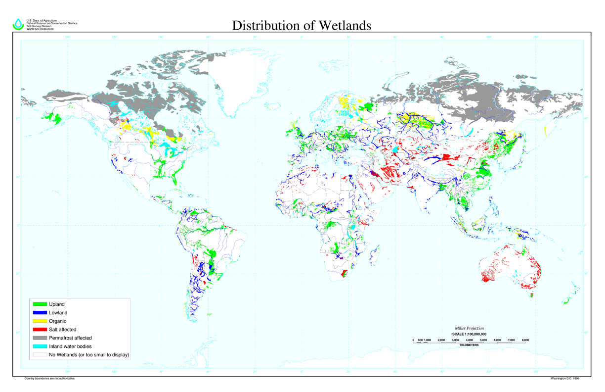 Freshwater Wetland Map Wetlands Map 