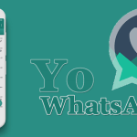 Yo WhatsApp