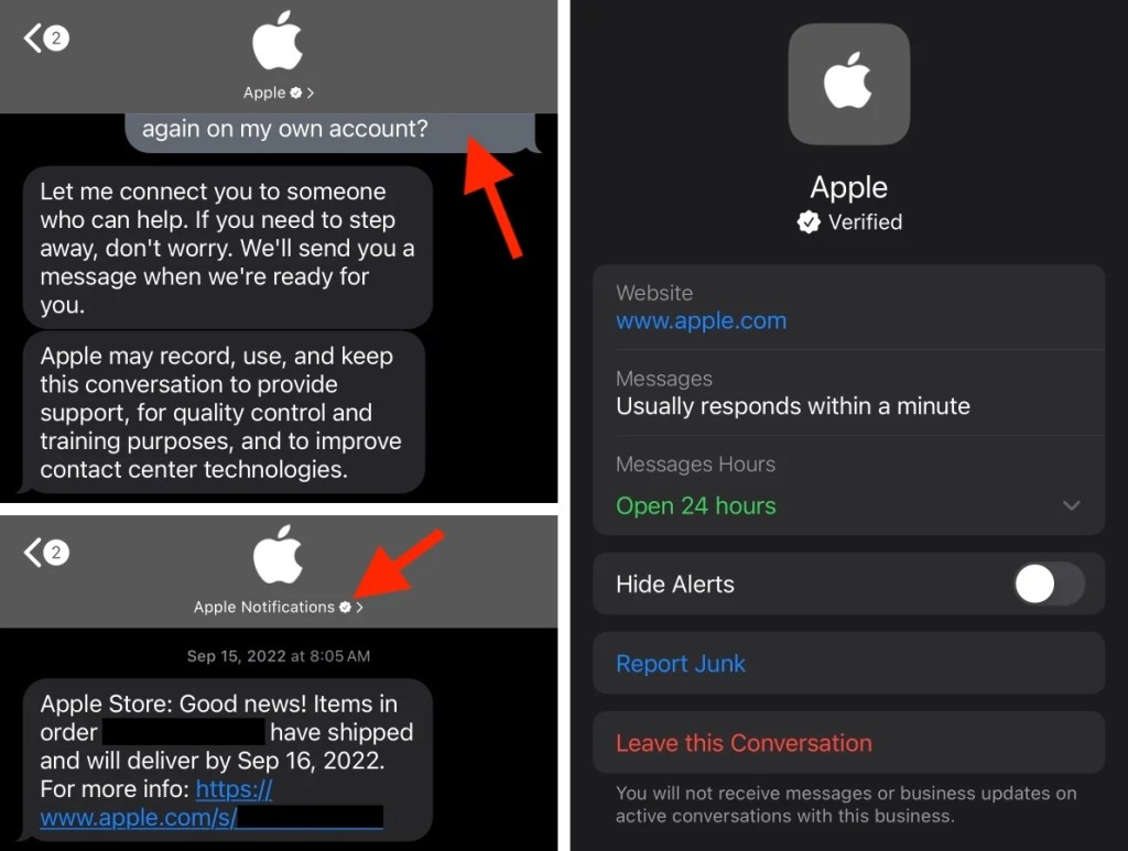 Apple Account Security Alert Text Scam