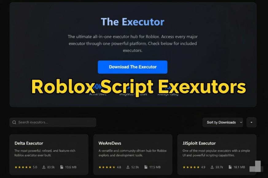 Guide to Roblox Script Executors: Safety, Functionality, and Best Practices 3 Roblox Script Executors