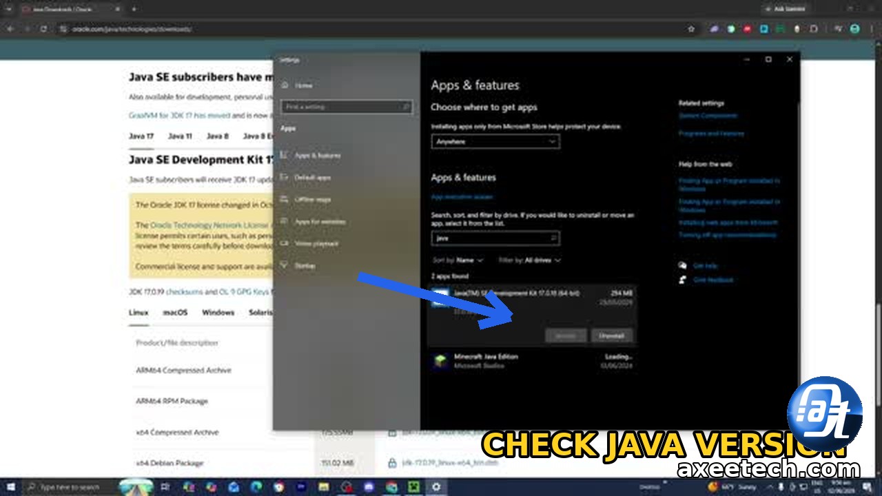 java version check for the could not create the java virtual machine error