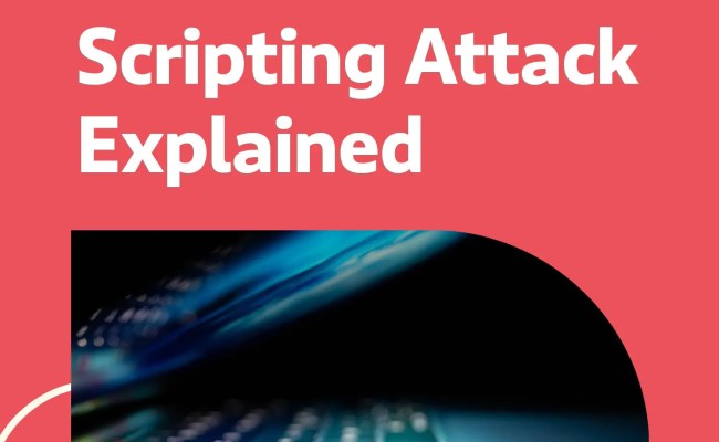 Cross Site Scripting Attacks: What They Are And How To Protect Yourself