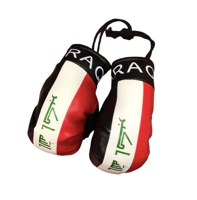 Mini Boxing Glove – Car Accessory – Ayan Resources