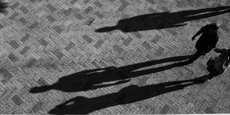 Too much happens in the shadows
