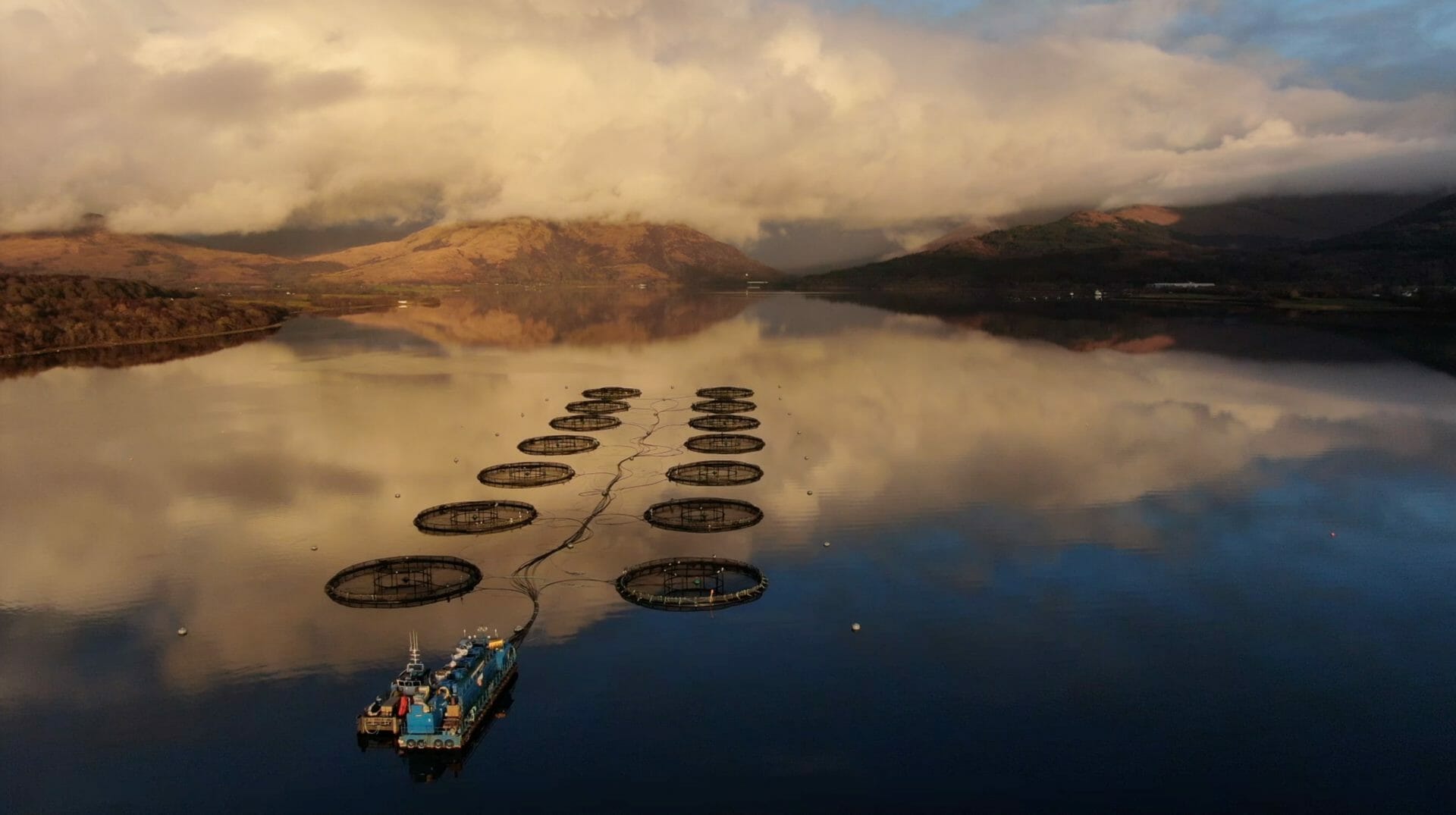 Salmon farm pollution rises 10 per cent
