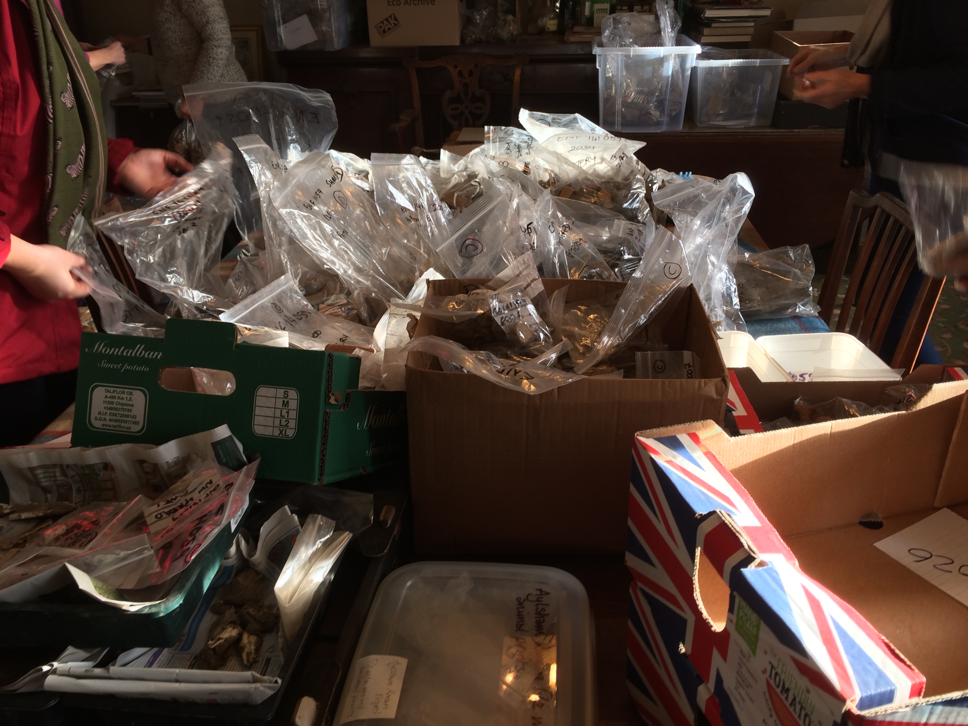 bagging