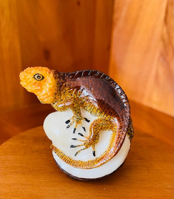 IGUANA SIMPLE