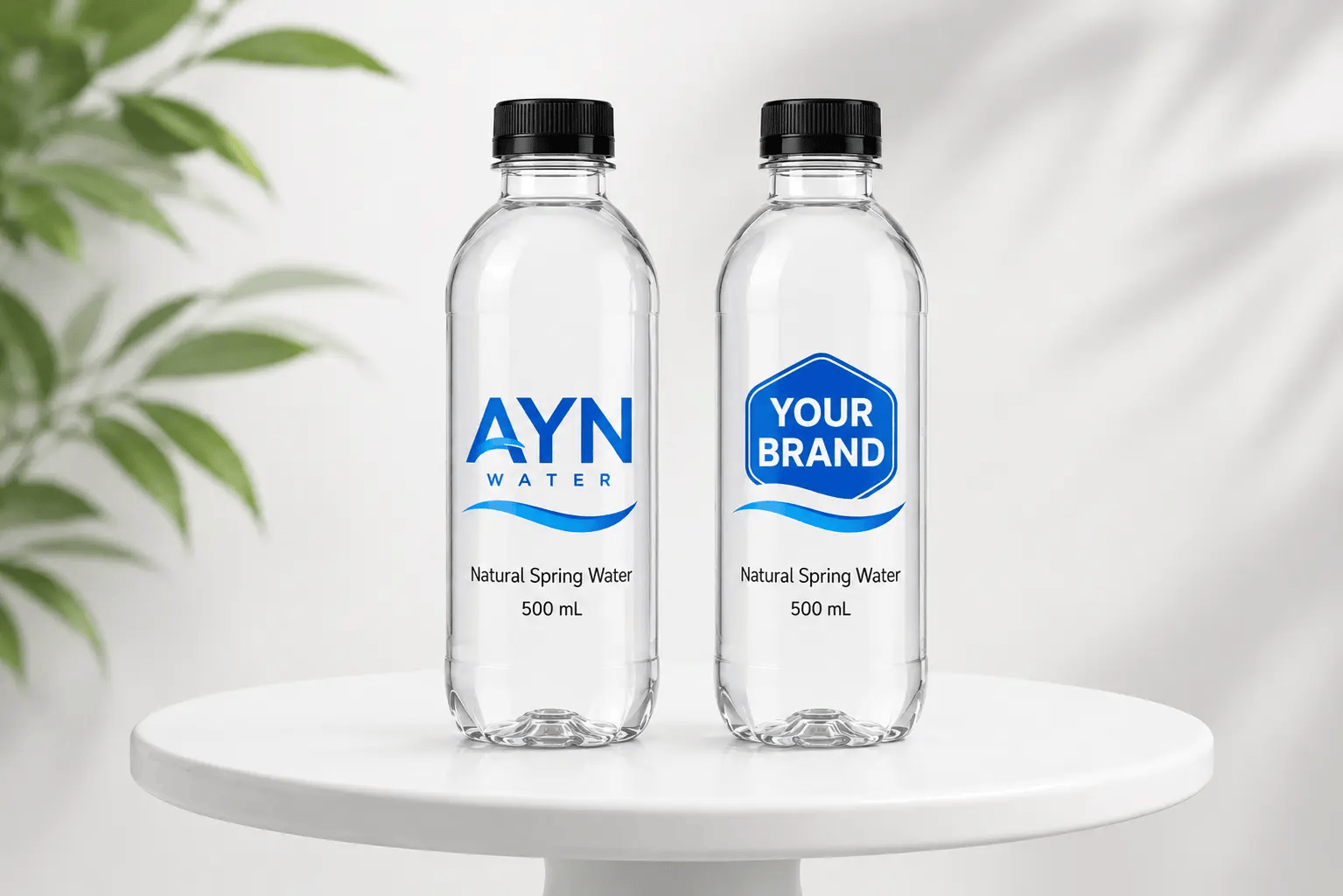 AYN