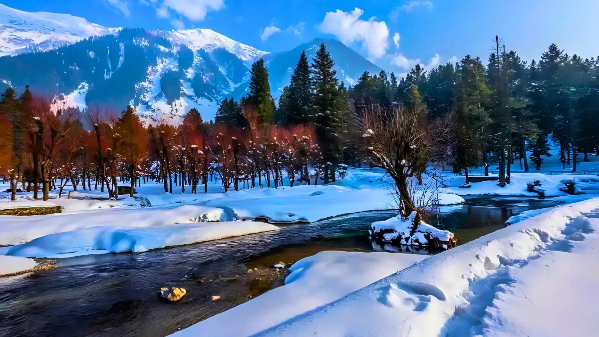 Kashmir Valley’s Magical Transformation: A Snowfall Symphony of Colors