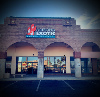 tucson arizona exotic animal hospital veterinary services on exotic pet vets around me