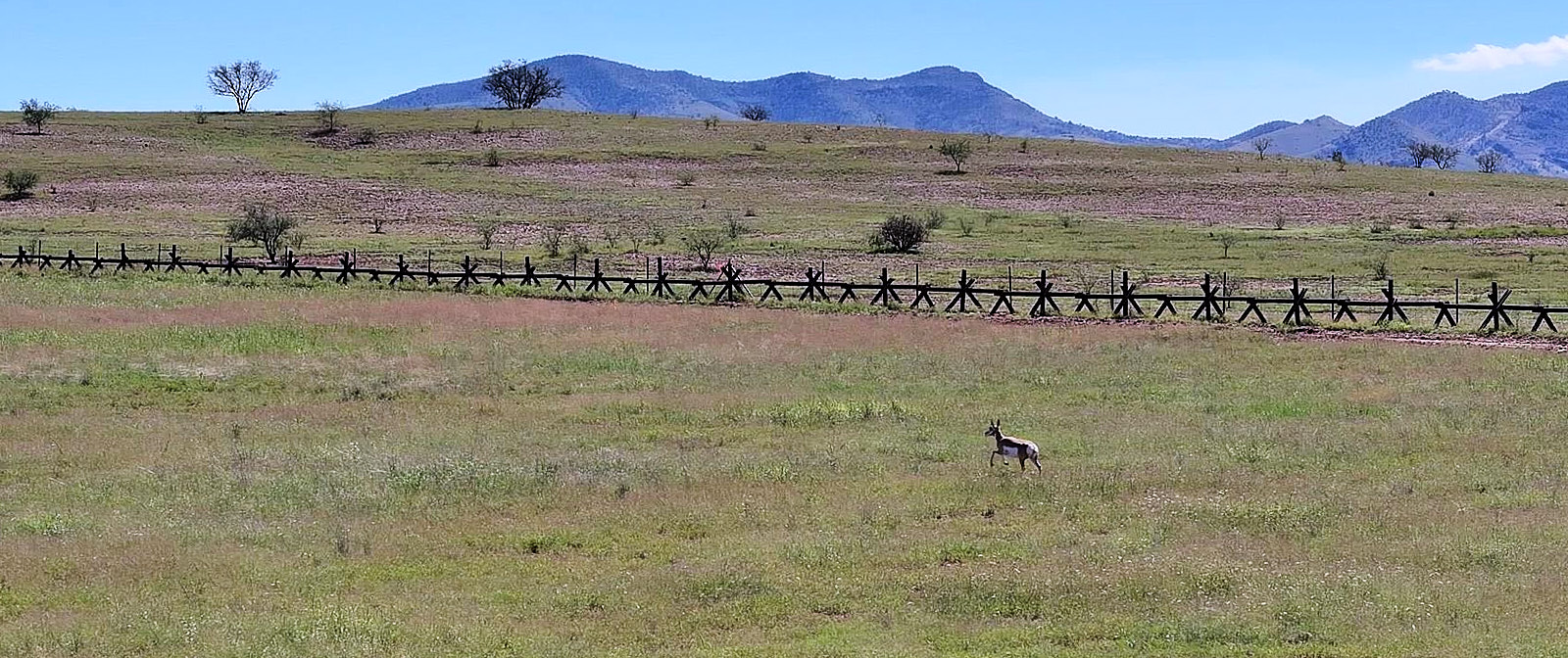 A jaguar, a wall, a sacred valley: What's at stake in San Rafael